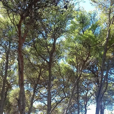 Kamp Caravan Near The Sea 2