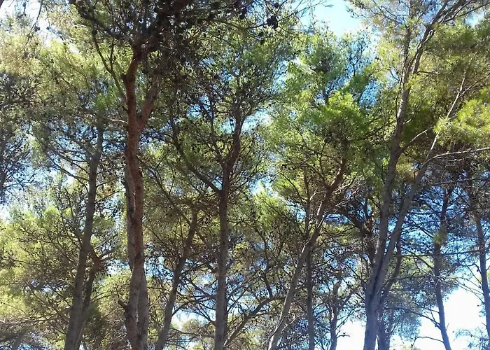 Kemping Caravan Near The Sea 2